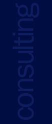 ConsultingBlu